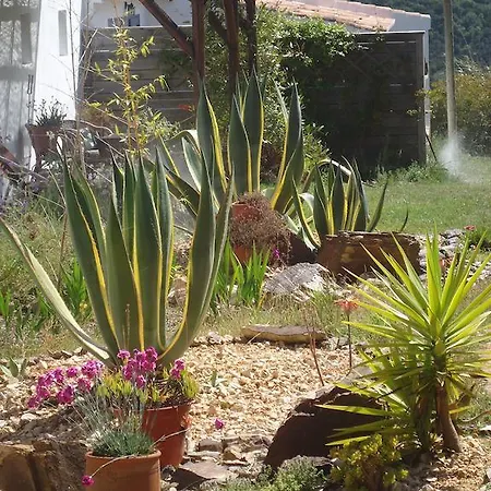 Montes De Baixo אודסש