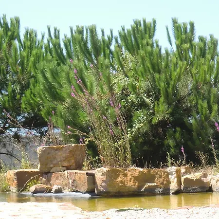 בית כפרי Montes De Baixo *